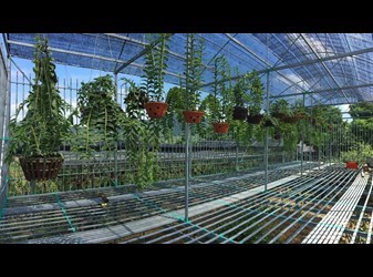 Lắp đặt Báo động chống trộm cho Vườn Lan