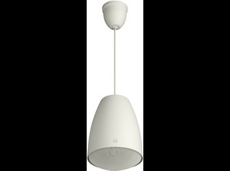 Loa Thả Trần 30W PE-304