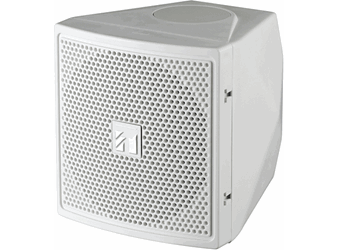 Loa vệ tinh màu trắng 40W BS-S20W AS